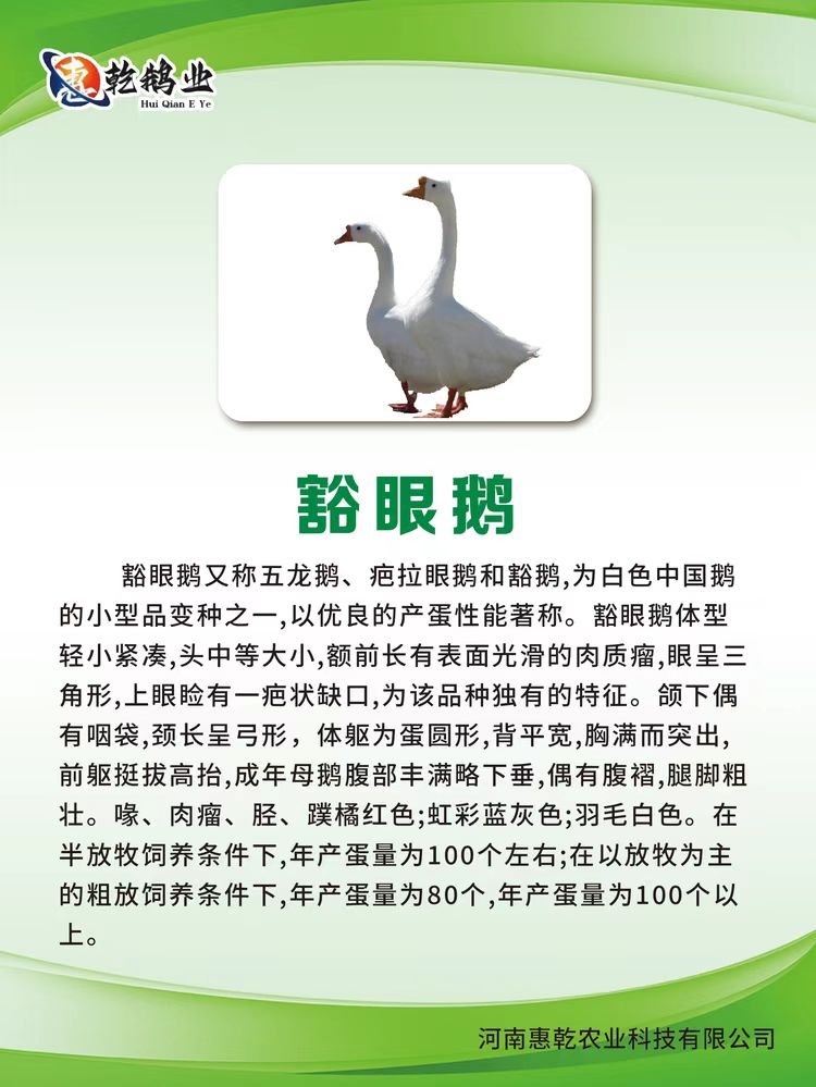 微信图片_20241213192703.jpg