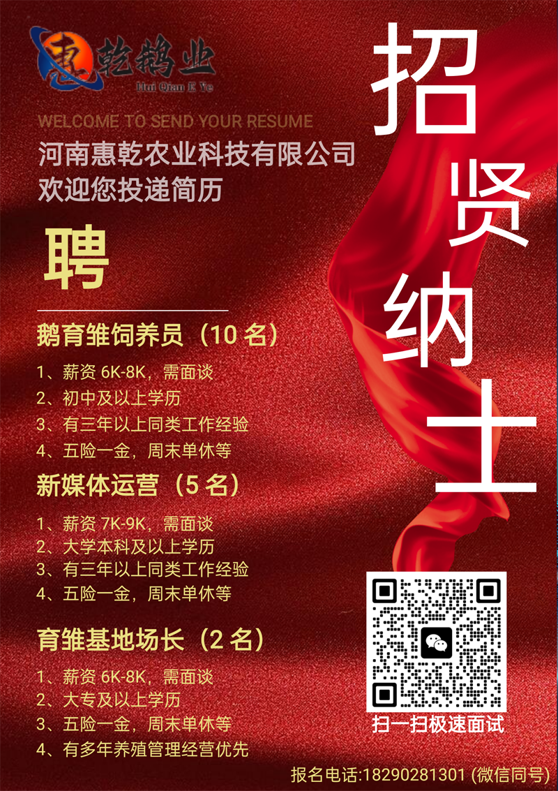 招聘：鹅育雏饲养员(10名)；新媒体运营(5 名)；育雏基地场长(2 名)